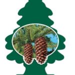 Little Tree Royal Pine 24 Count Rack Pack UIP-10101