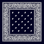 Bandanna Black